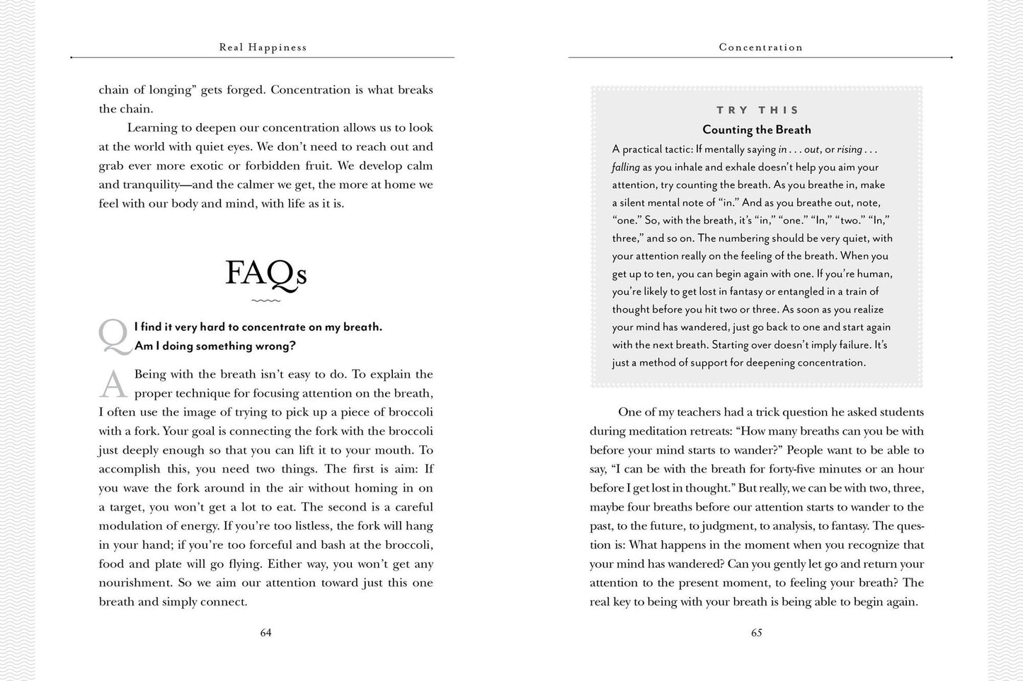 Real Happiness, 10th Anniversary Edition: A 28-Day Program to Realize the Power of Meditation