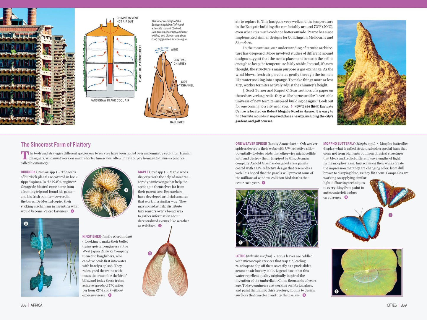 Atlas Obscura: Wild Life: An Explorer's Guide to the World's Living Wonders