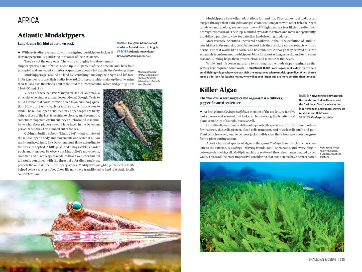 Atlas Obscura: Wild Life: An Explorer's Guide to the World's Living Wonders
