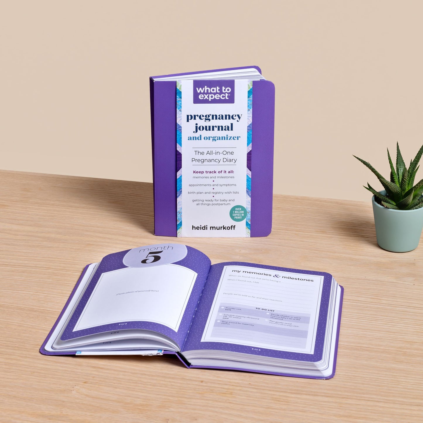 What to Expect Pregnancy Journal & Organizer: The All-in-One Pregnancy Diary