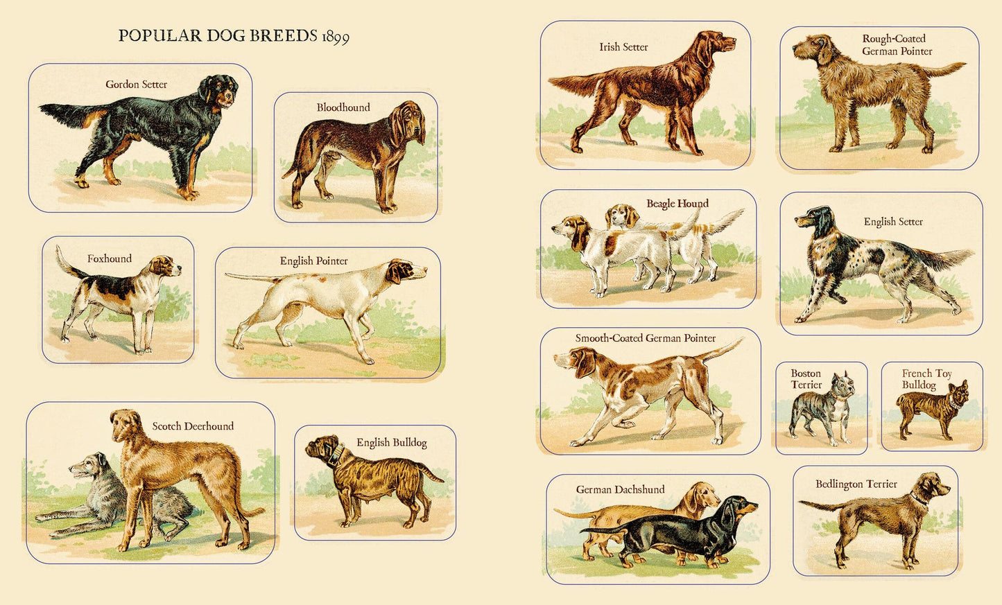Cynthia Hart's Victoriana Dogs: The Sticker Book