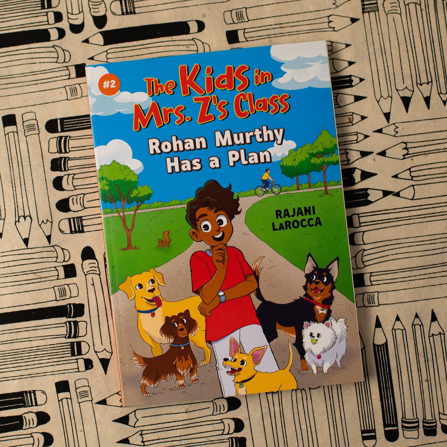 The Kids in Mrs. Z's Class: Rohan Murthy Has a Plan