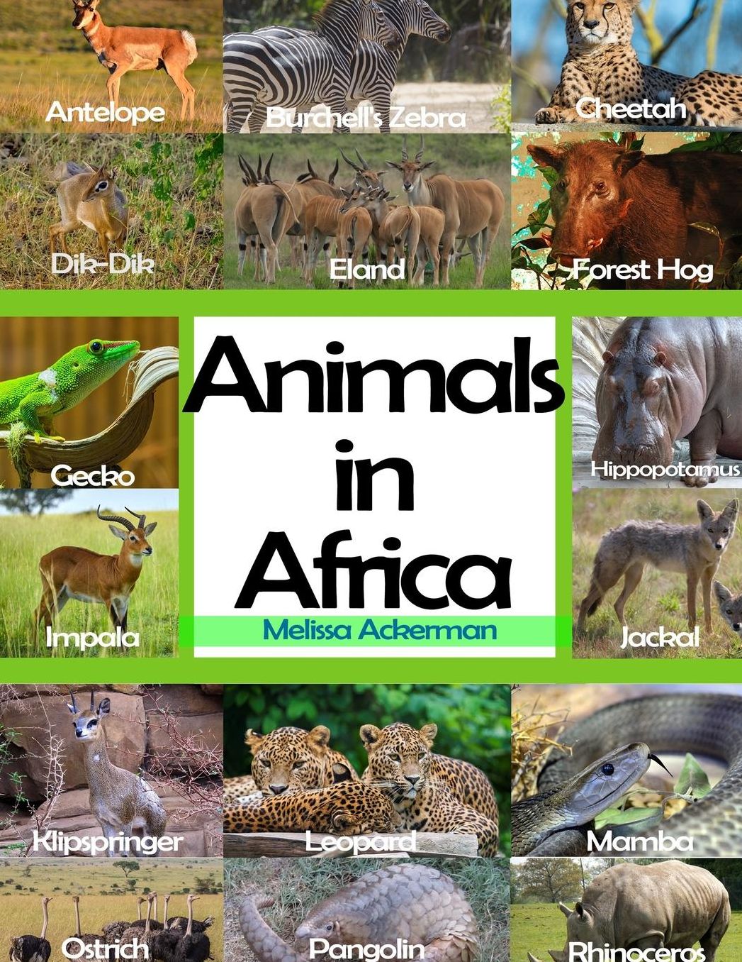 Animals In Africa: A Picture Book For Kids To Learn African Animals