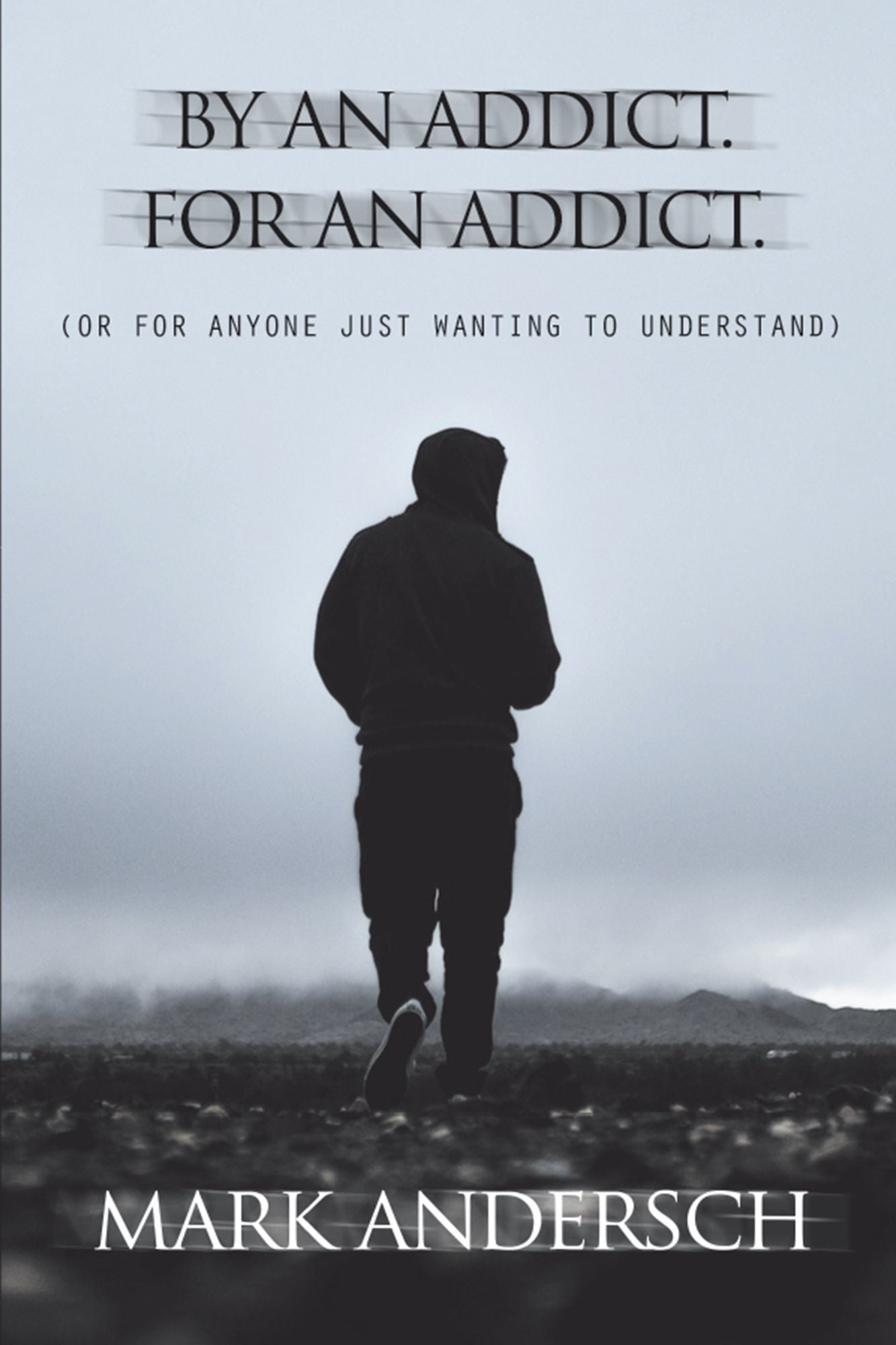 By an Addict, for an Addict: Or for Anyone Just Wanting to Understand