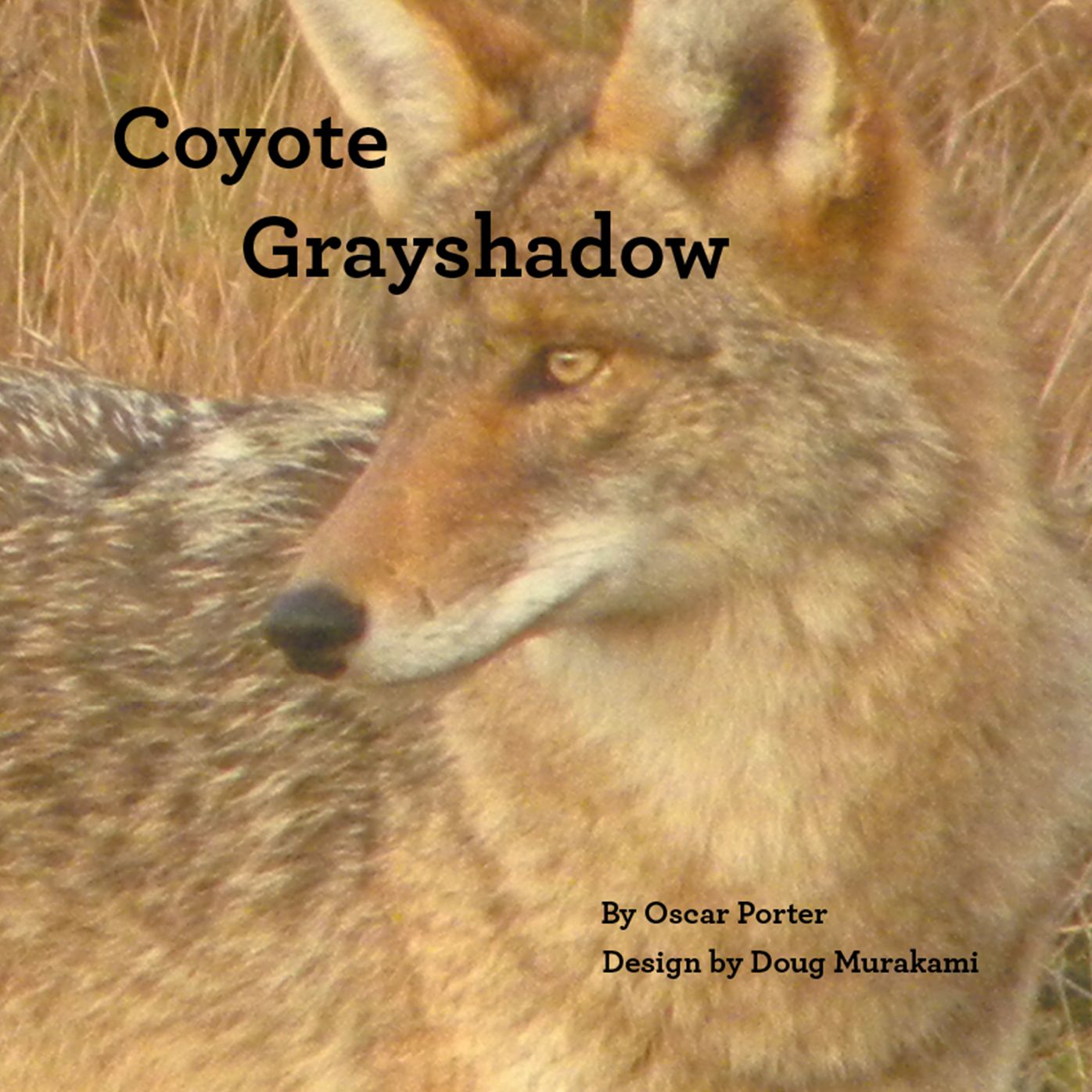 Coyote Grayshadow (PagePerfect NOOK Book)