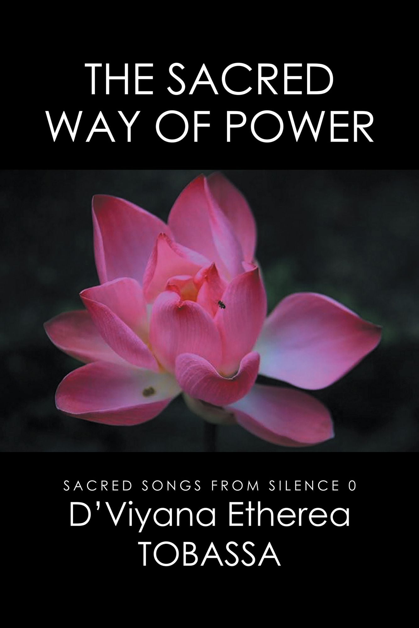 The Sacred Way of Power: Sacred Songs from Silence 0