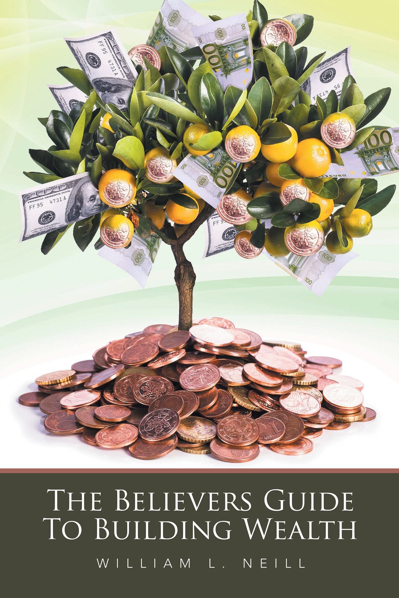 The Believers Guide to Building Wealth