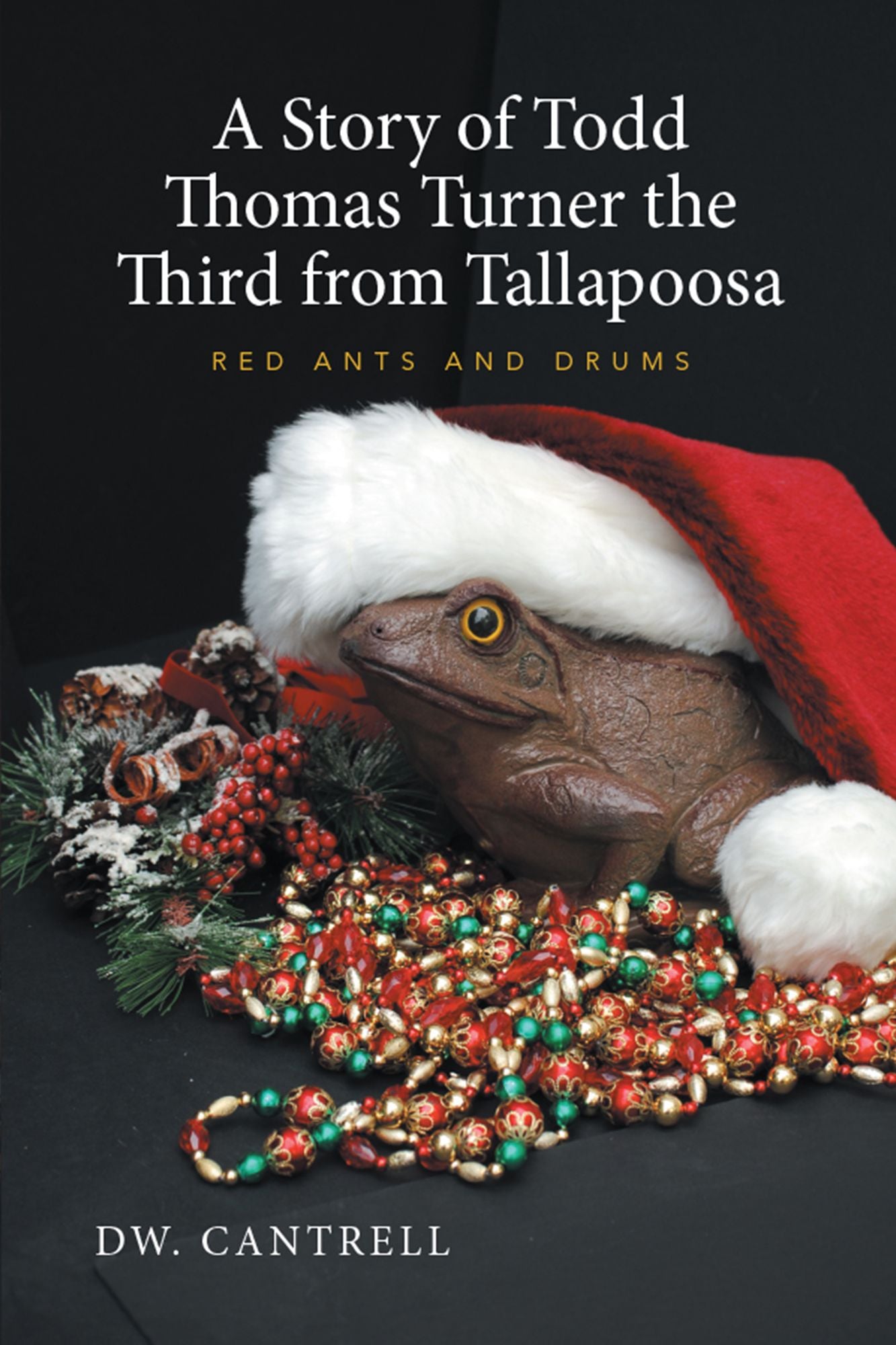 A Story of Todd Thomas Turner the Third from Tallapoosa: Red Ants and Drums
