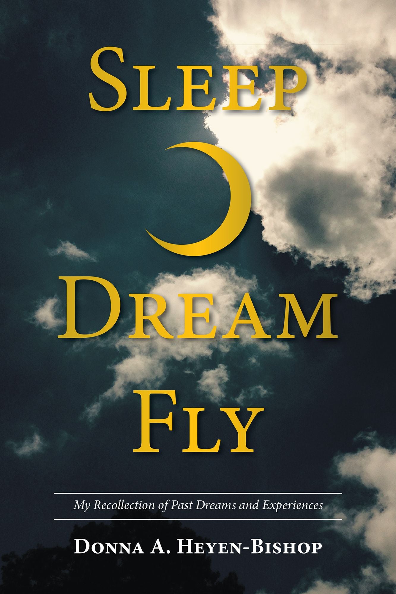 Sleep*Dream*Fly: My Recollection of Past Dreams and Experiences