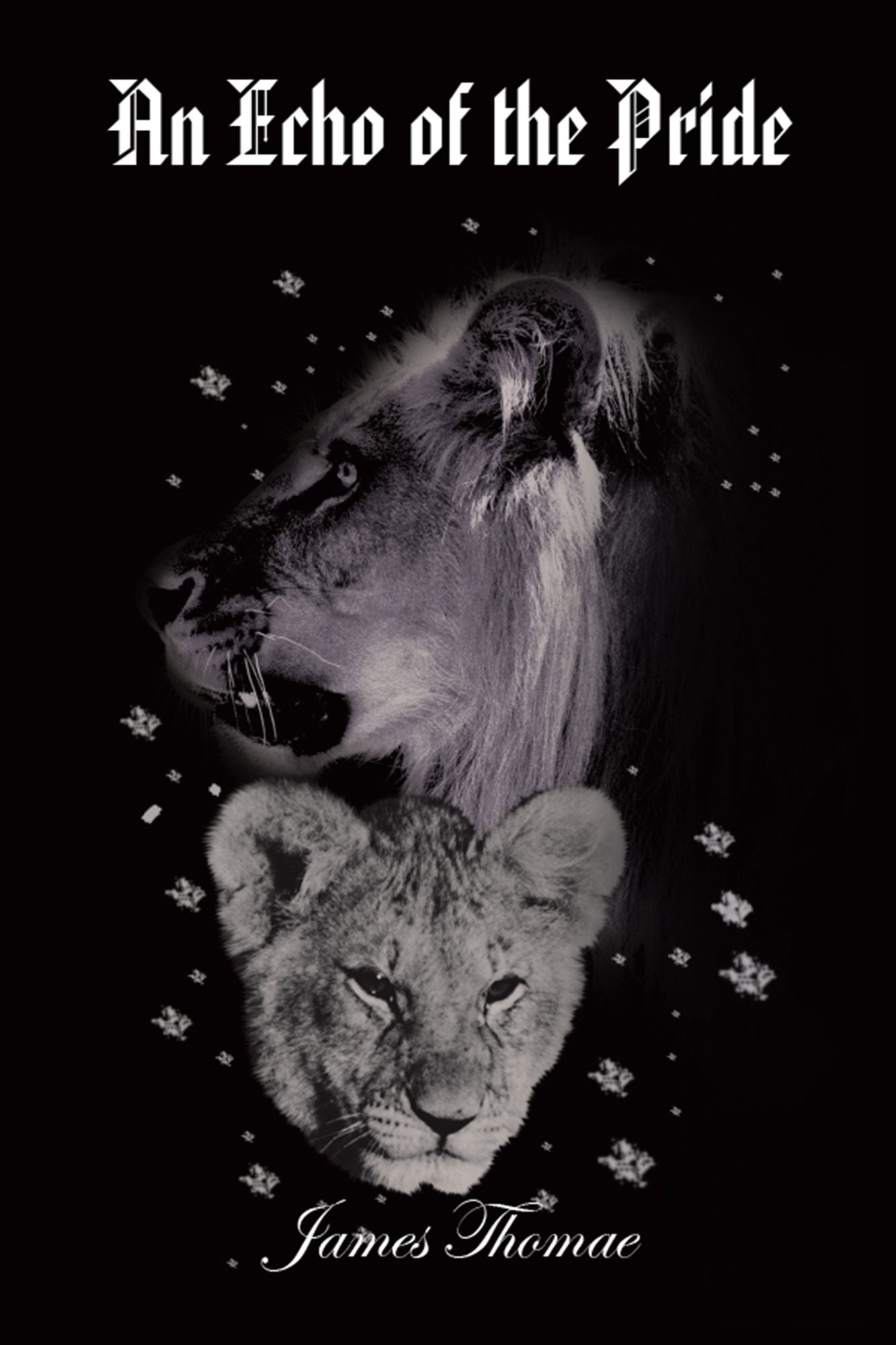 An Echo of the Pride