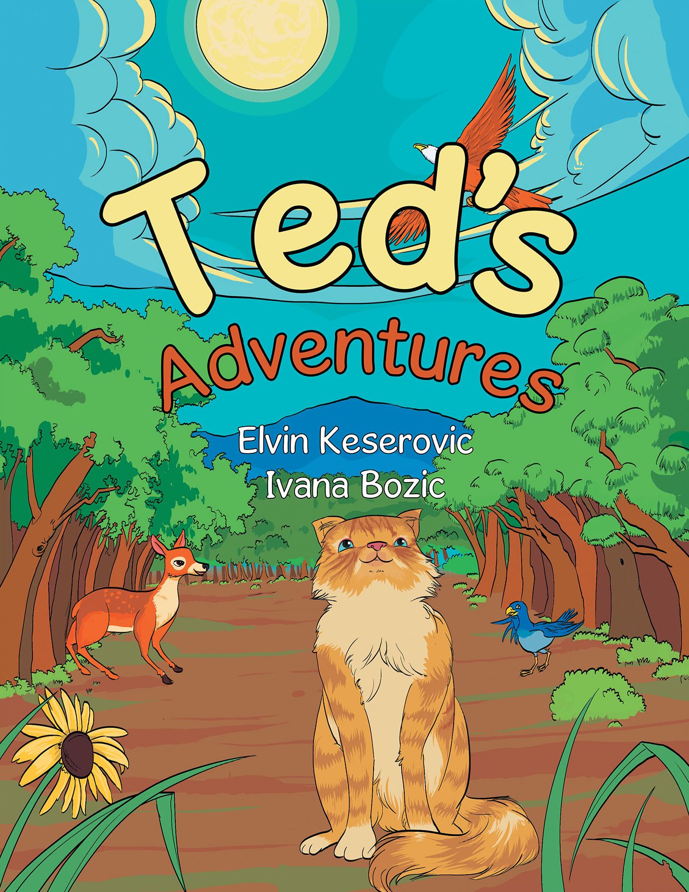 Teds Adventures
