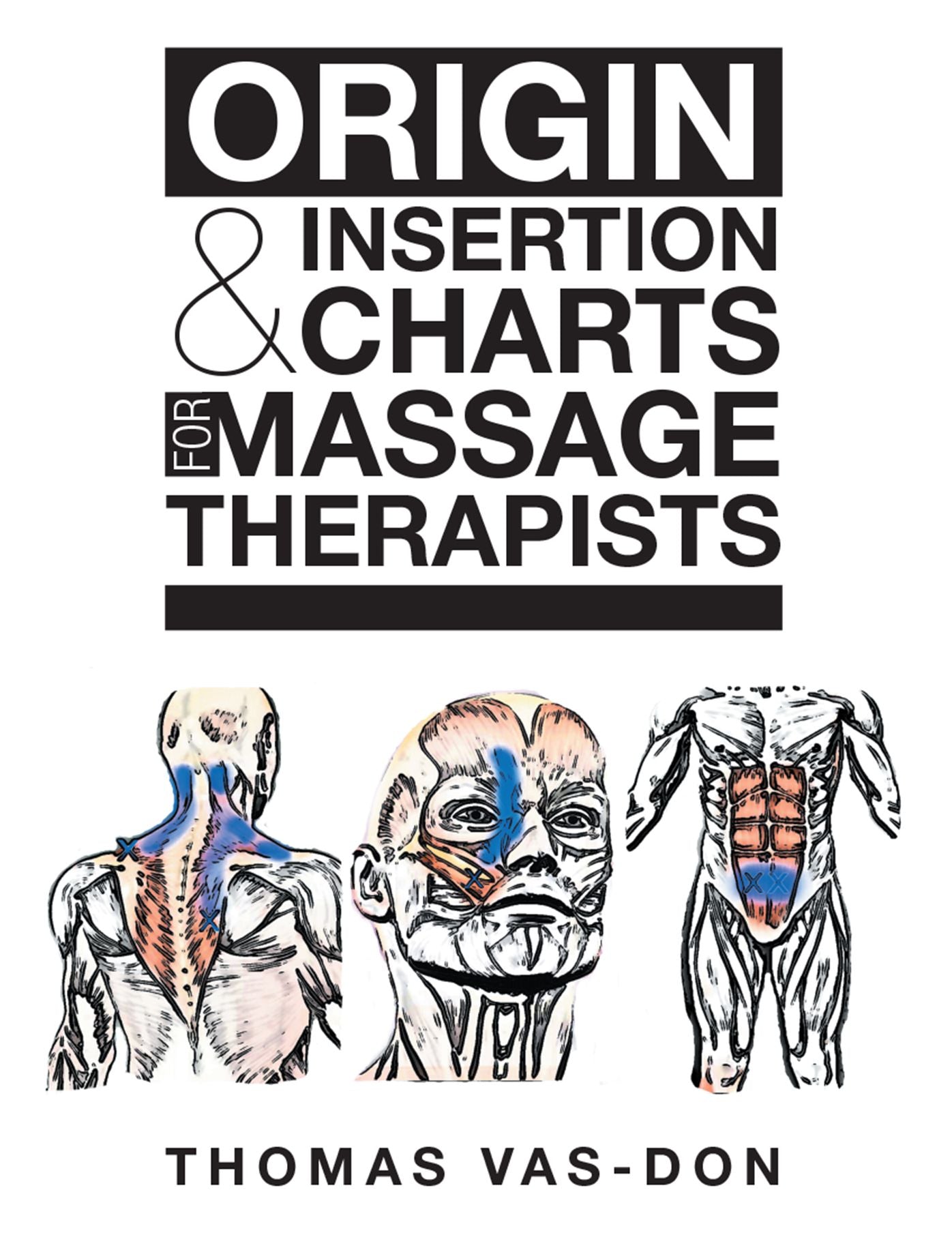 Origin & Insertion Charts for Massage Therapists