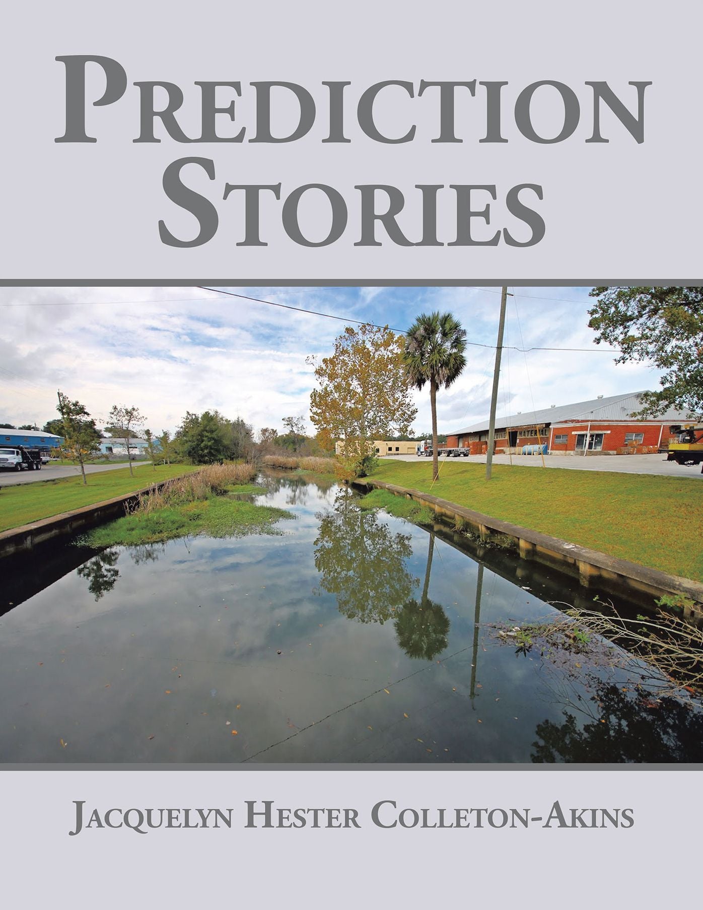Prediction Stories