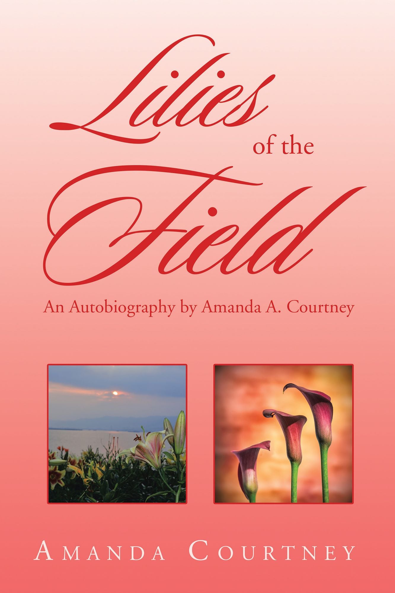 Lilies of the Field: An Autobiography by Amanda A. Courtney