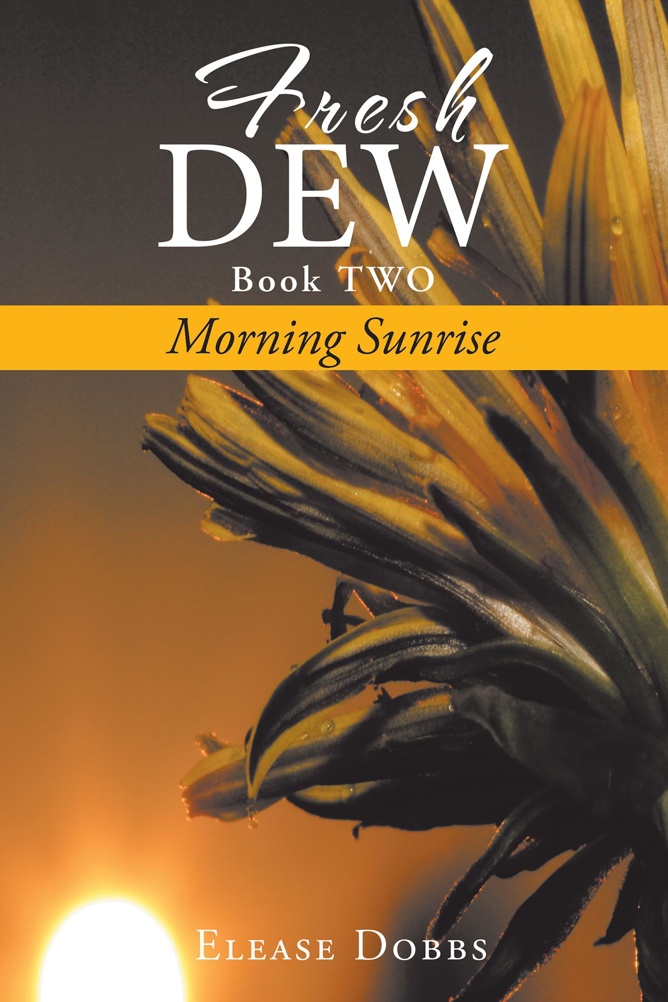Fresh Dew Book Two: Morning Sunrise