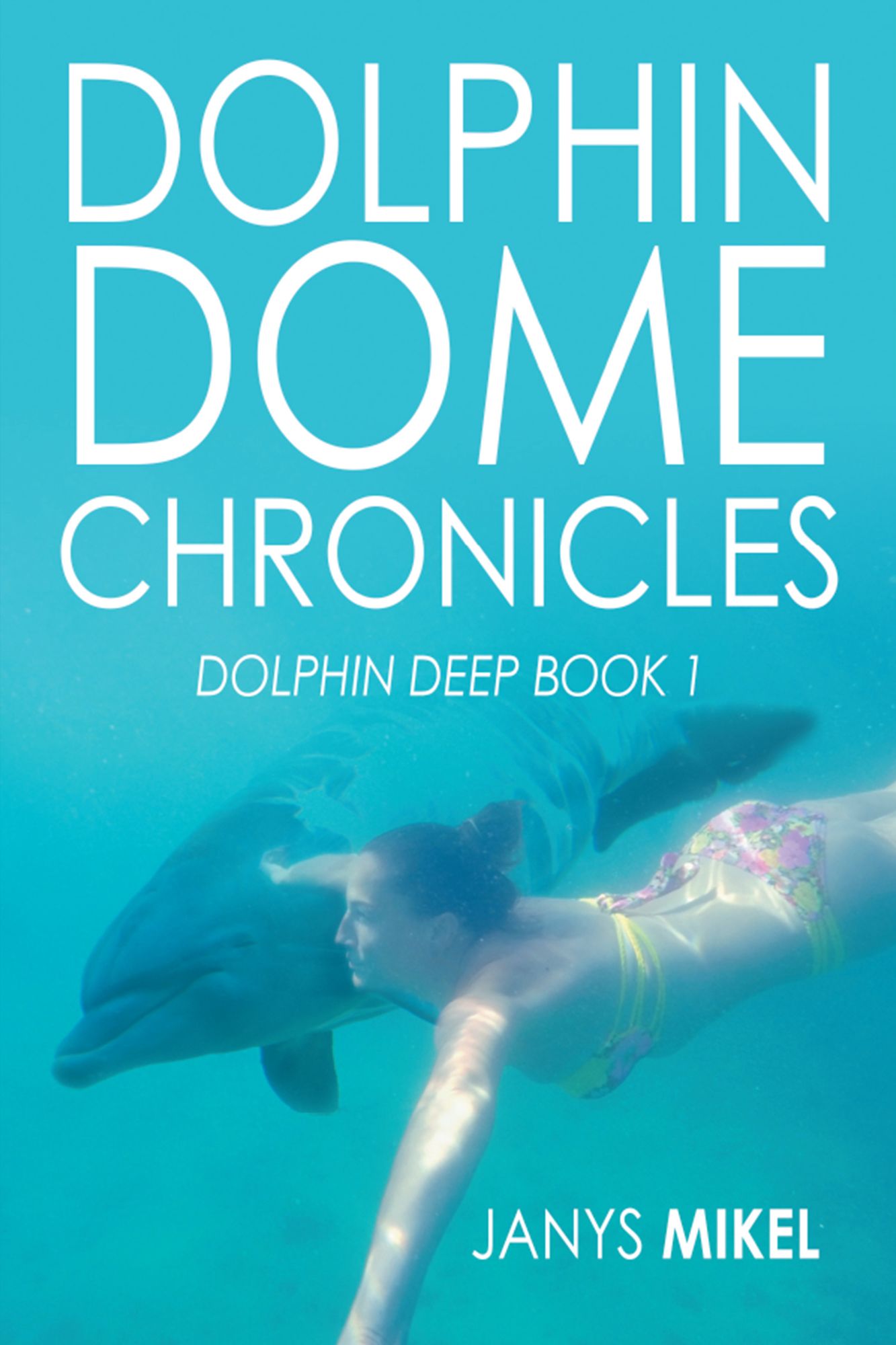 Dolphin Dome: Book 1