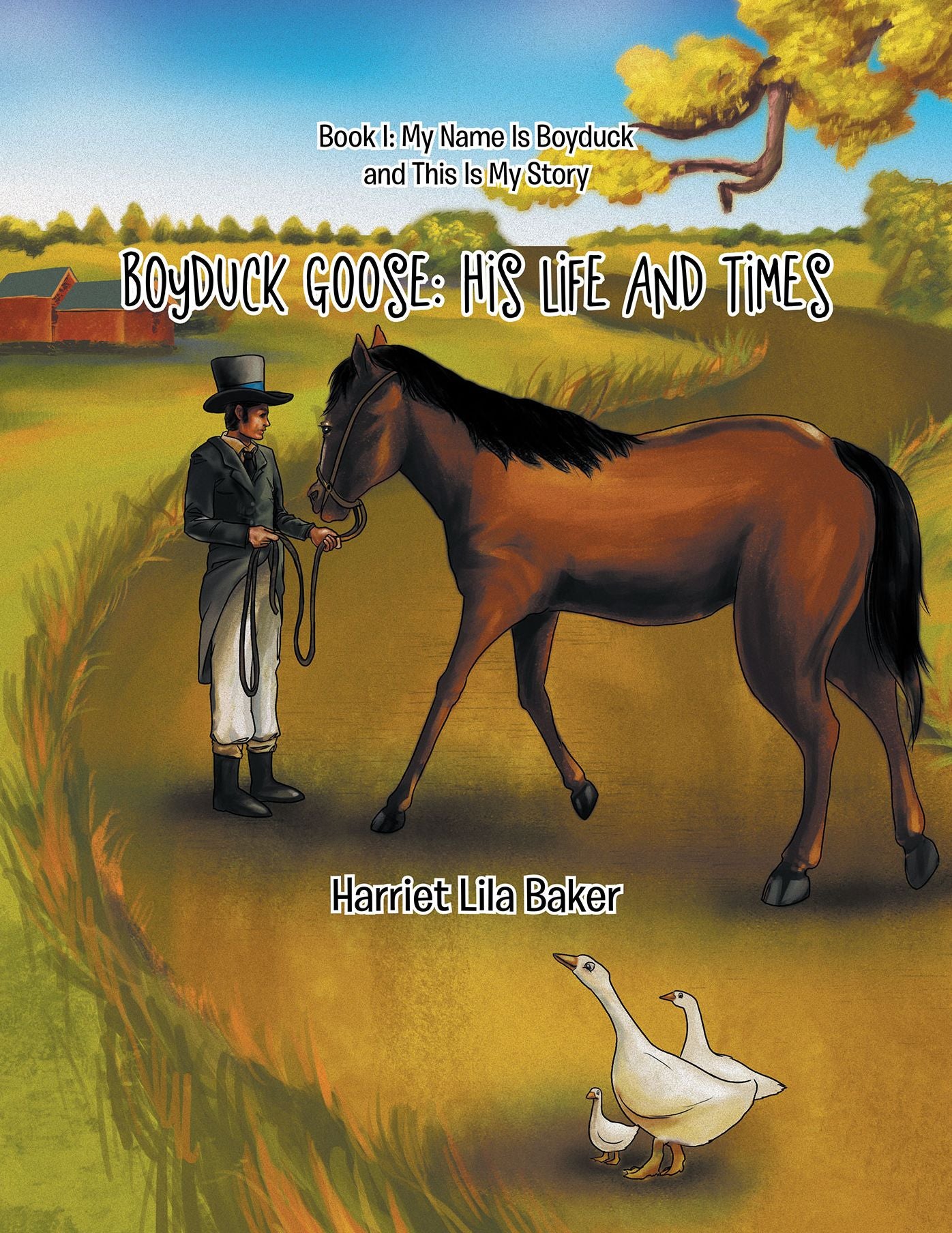 Boyduck Goose: His Life and Times: Book I: My Name Is Boyduck and This Is My Story