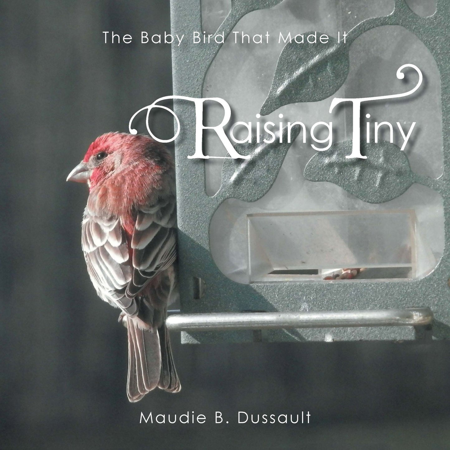Raising Tiny: A True Story