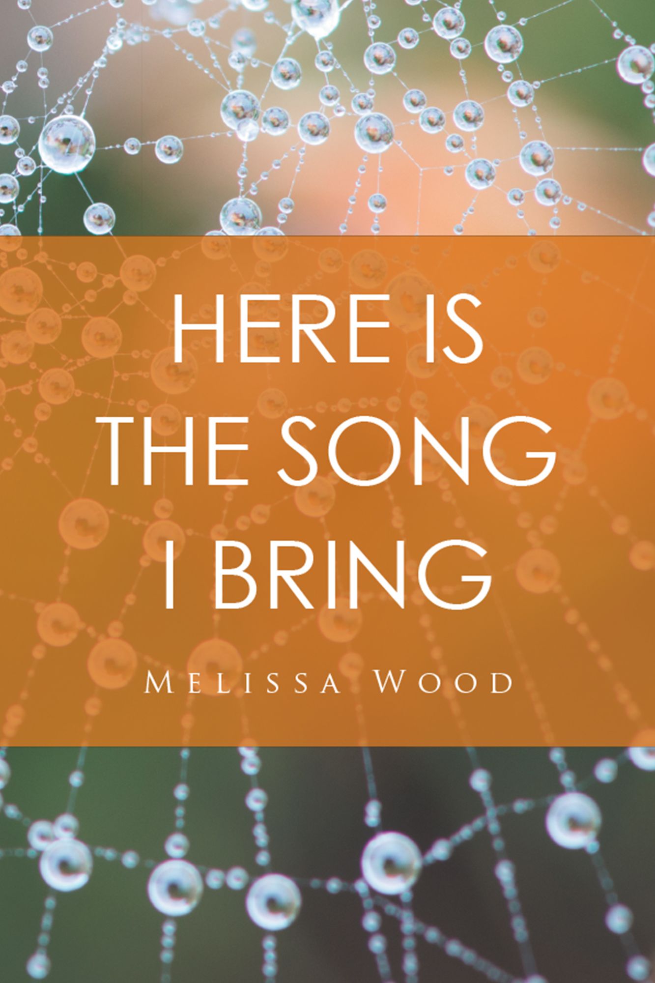 Here Is the Song I Bring