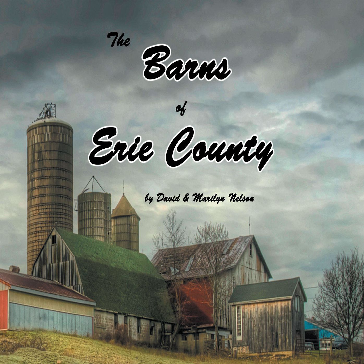 The Barns of Erie County