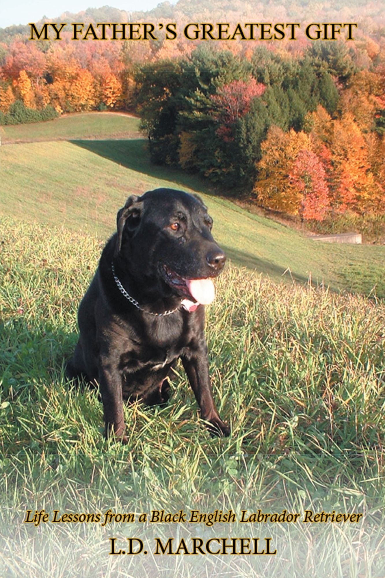 My Father'S Greatest Gift: Life Lessons from a Black English Labrador Retriever