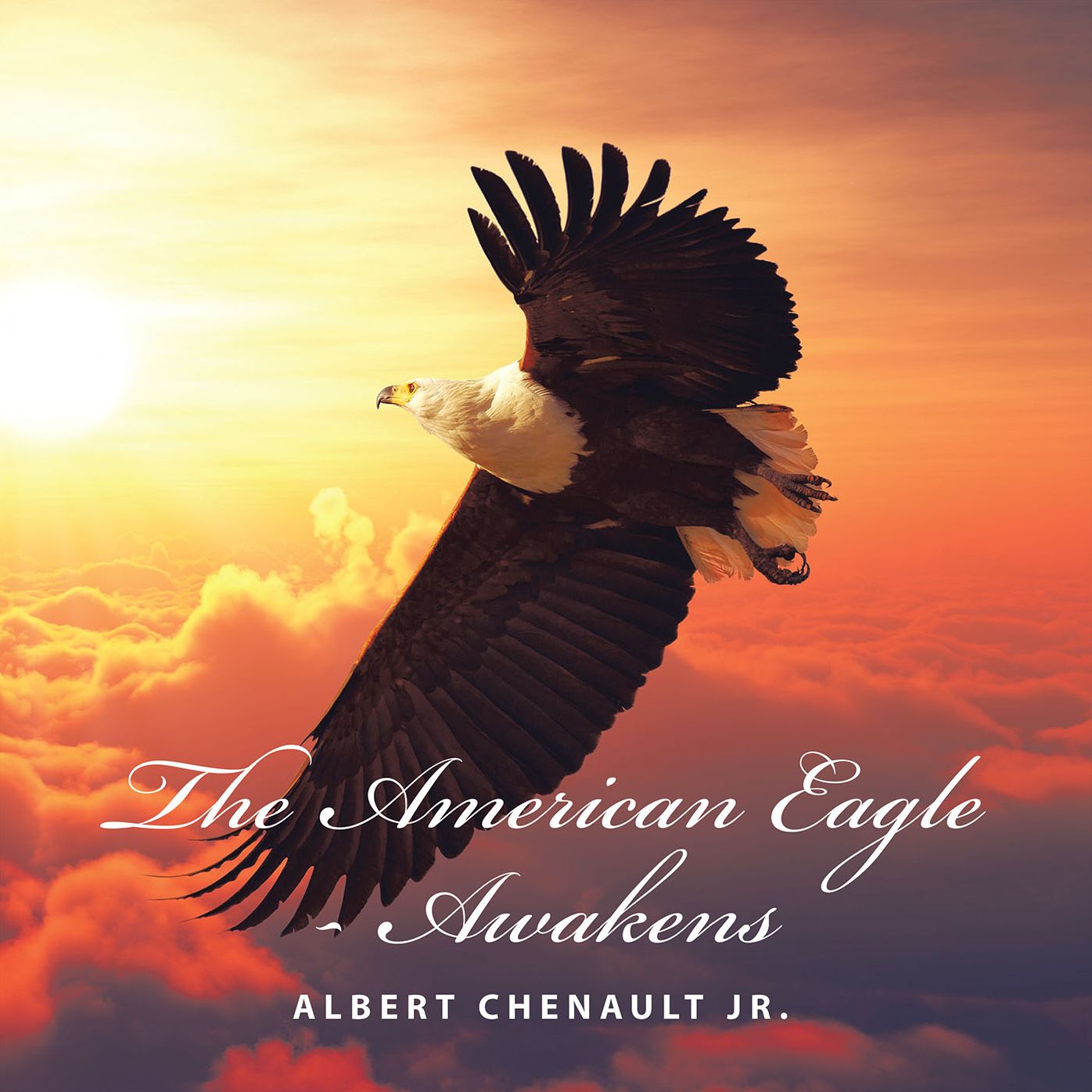 The American Eagle - Awakens