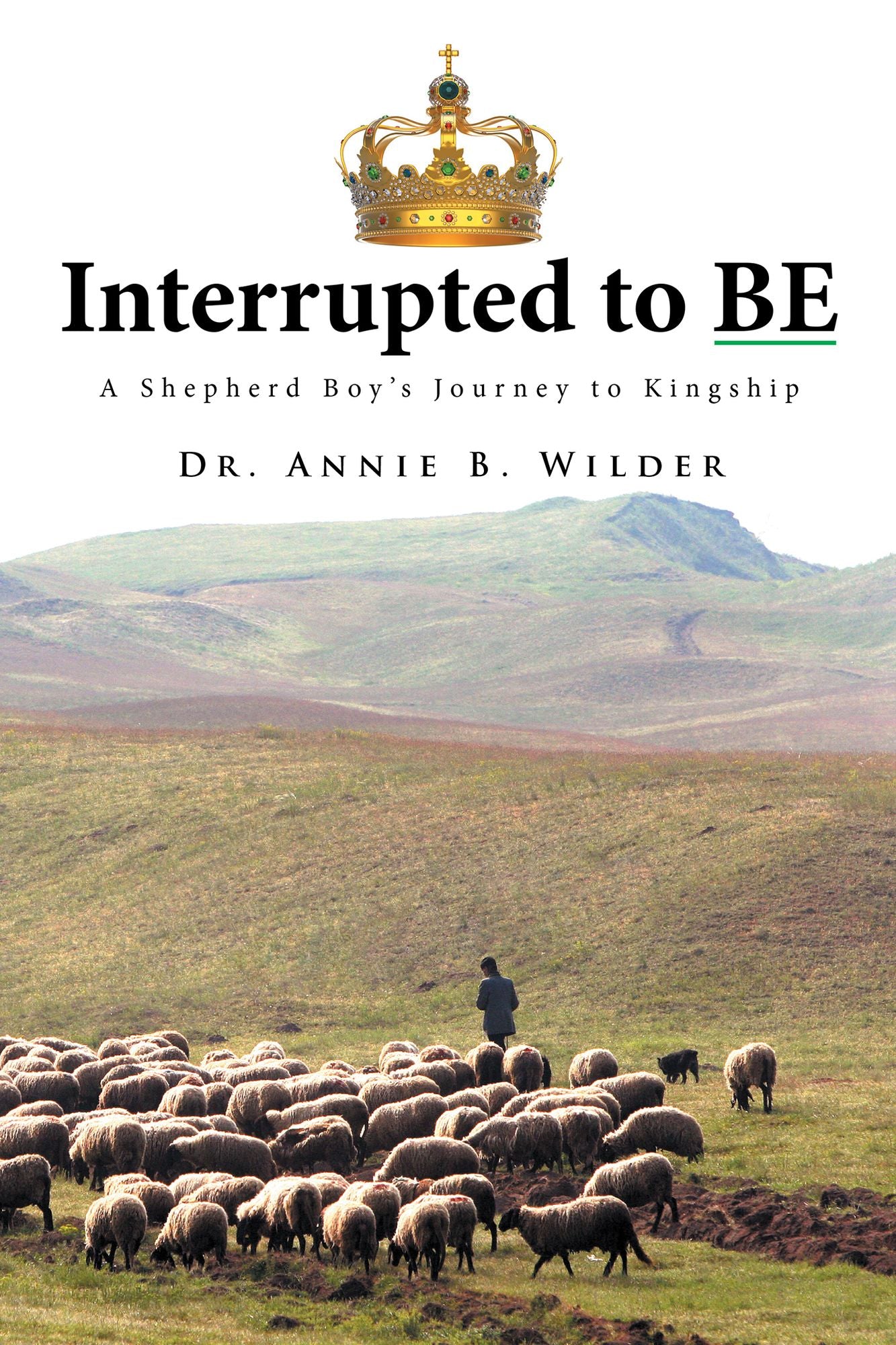 Interrupted to Be: A Shepherd Boy'S Journey to Kingship