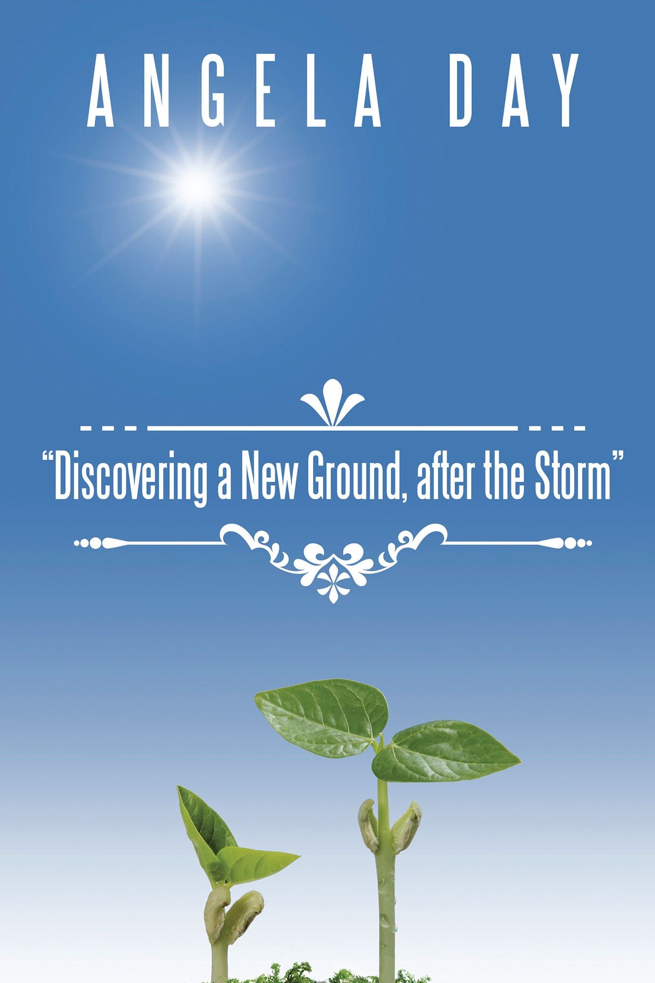 Discovering a New Ground After the Storm