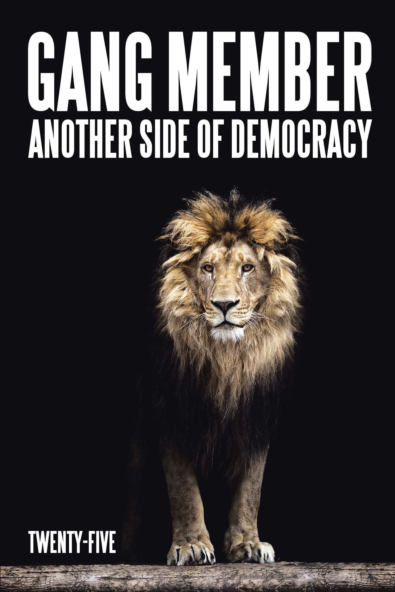 Gang Member: Another Side of Democracy