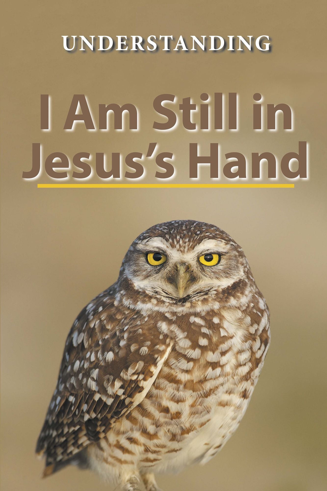 I Am Still in Jesus's Hand