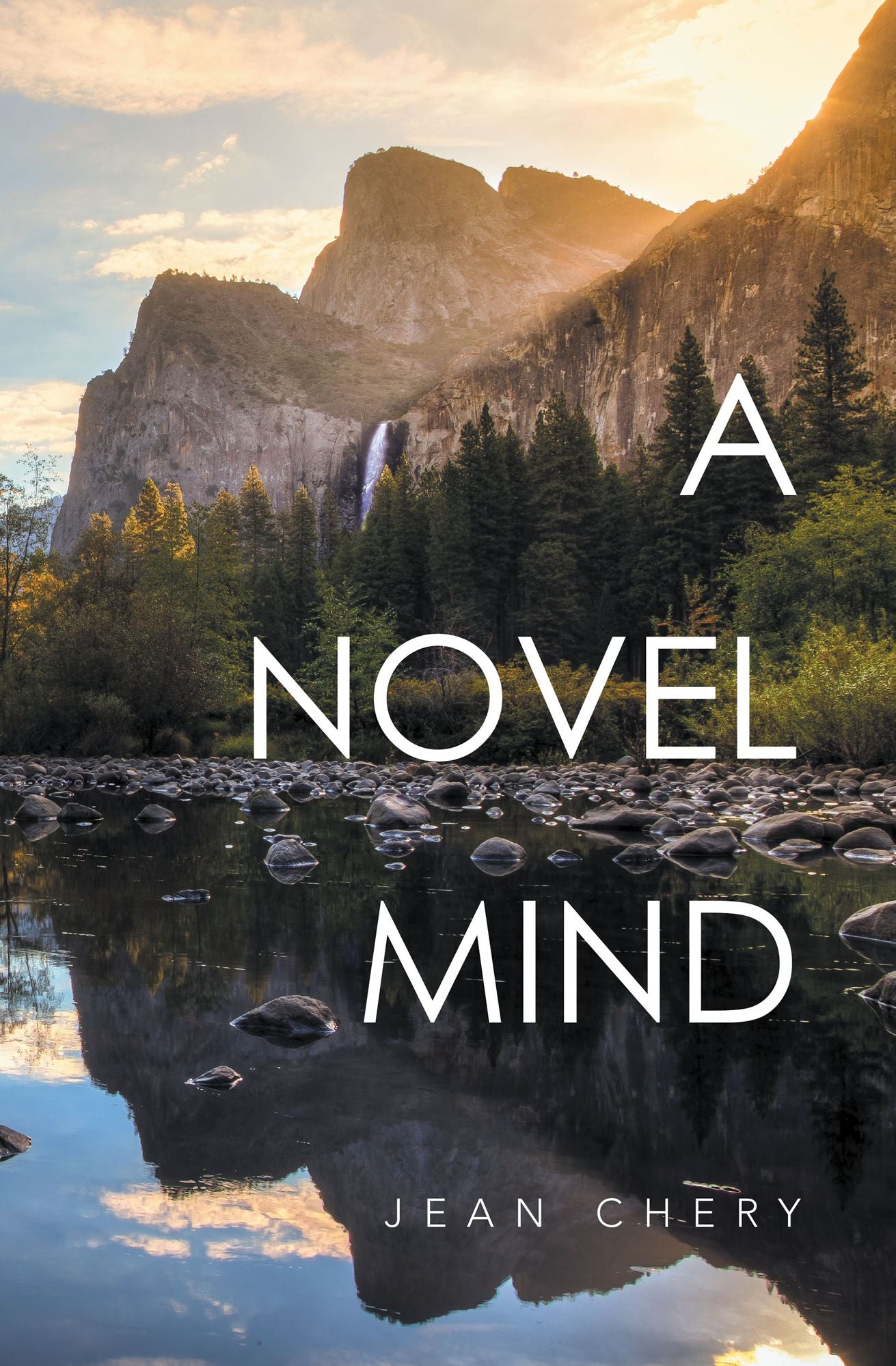 A Novel Mind