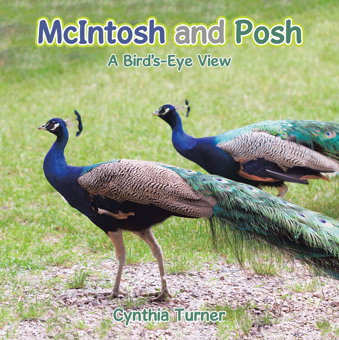 Mcintosh and Posh: A Bird'S-Eye View