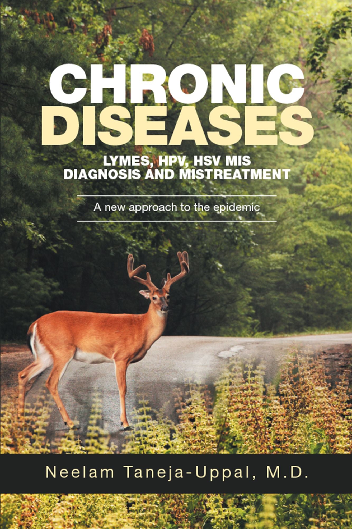 Chronic Diseases - Lymes, Hpv, Hsv Mis-Diagnosis and Mistreatment: A New Approach to the Epidemic