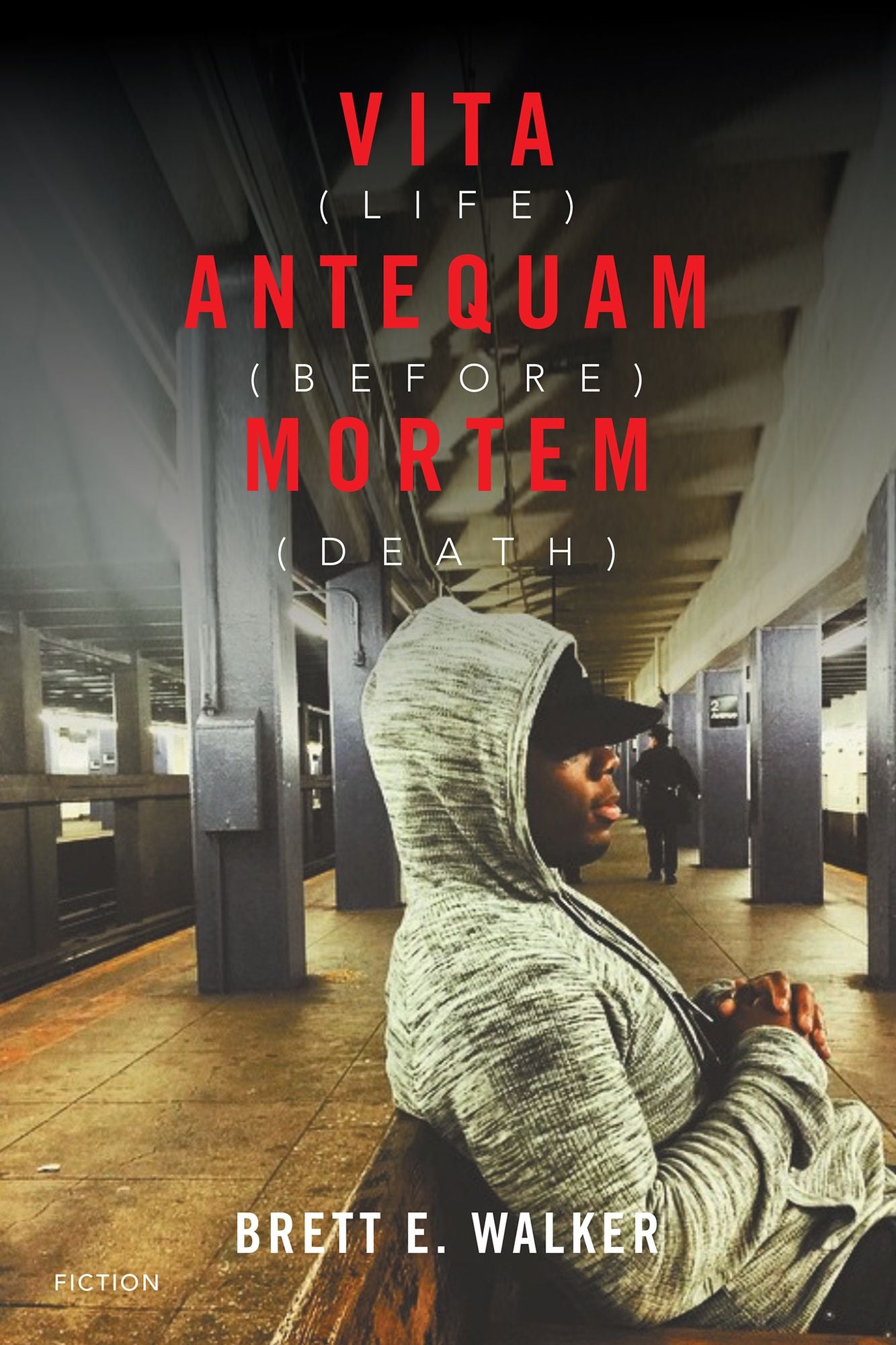 Vita Antequam Mortem: Life Before Death