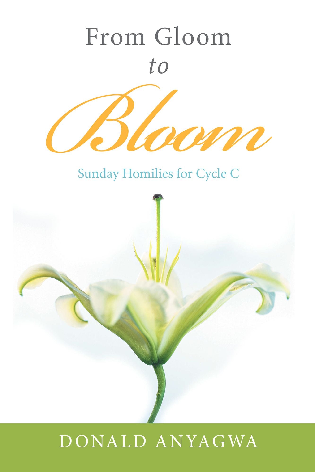 From Gloom to Bloom: Sunday Homilies for Cycle C