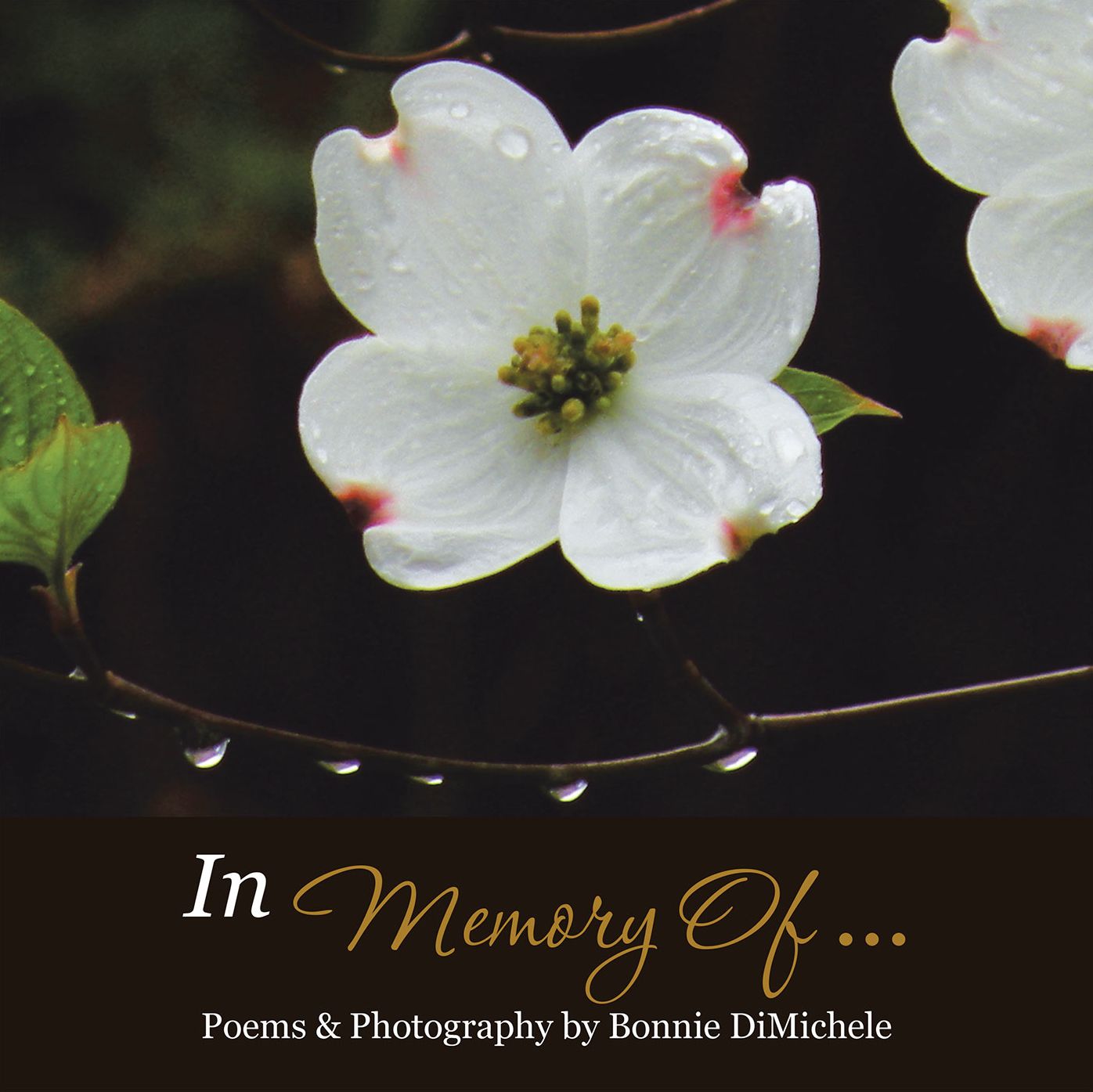 In Memory of . . .