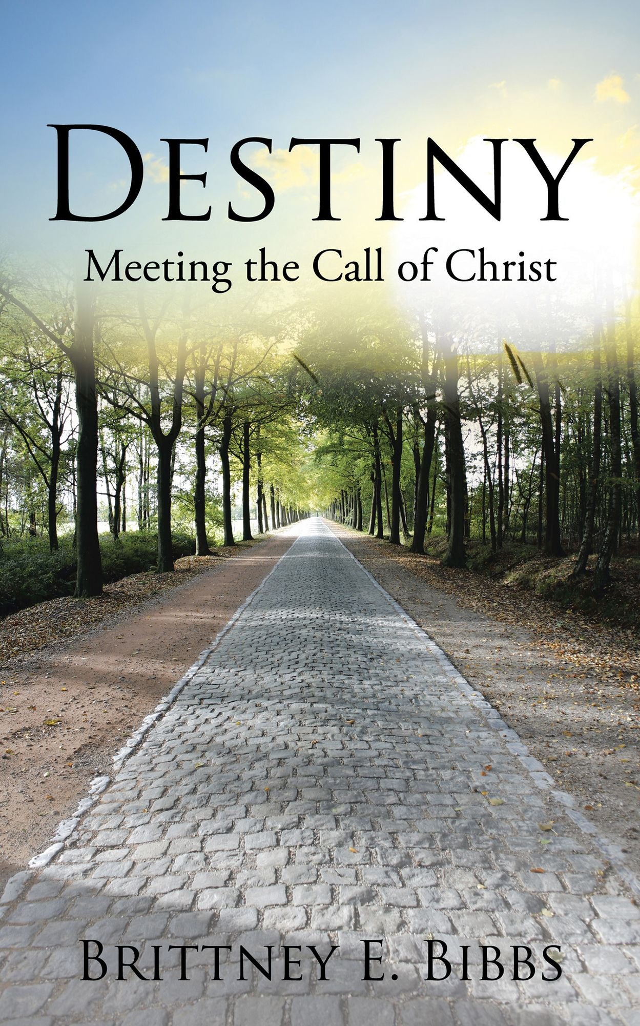 Destiny: Meeting the Call of Christ
