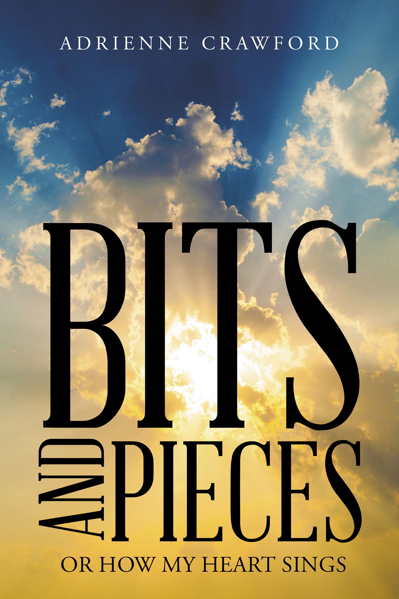 Bits and Pieces: Or How My Heart Sings
