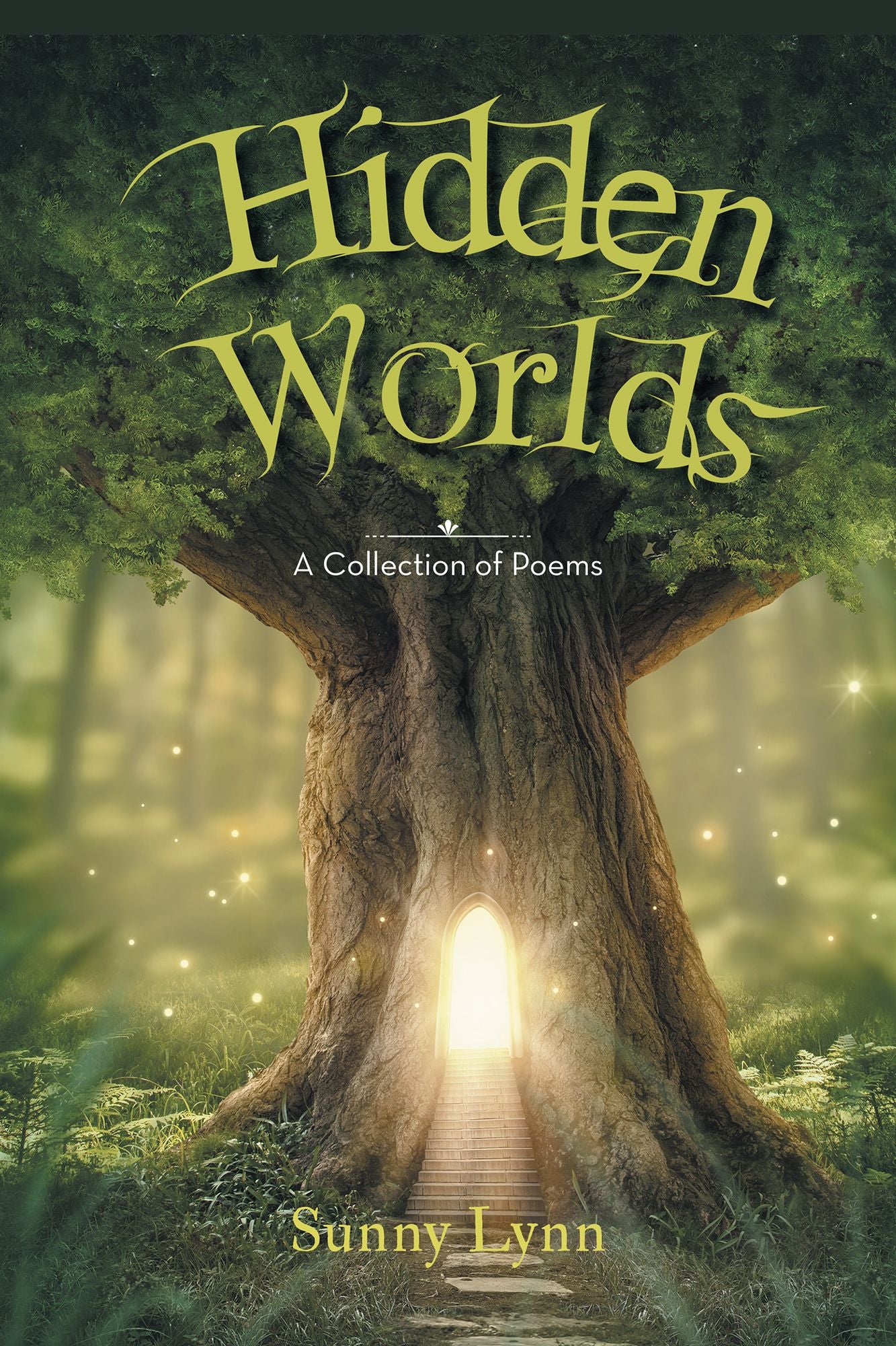 Hidden Worlds: A Collection of Poems