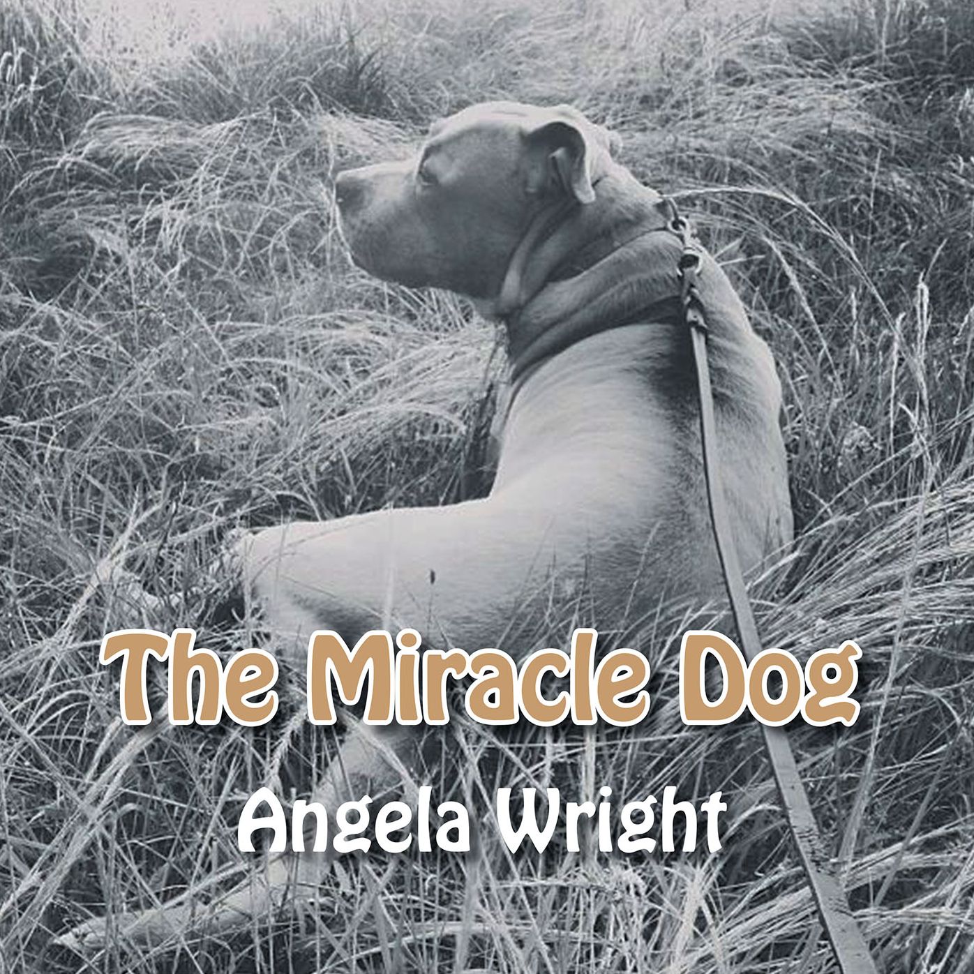 The Miracle Dog