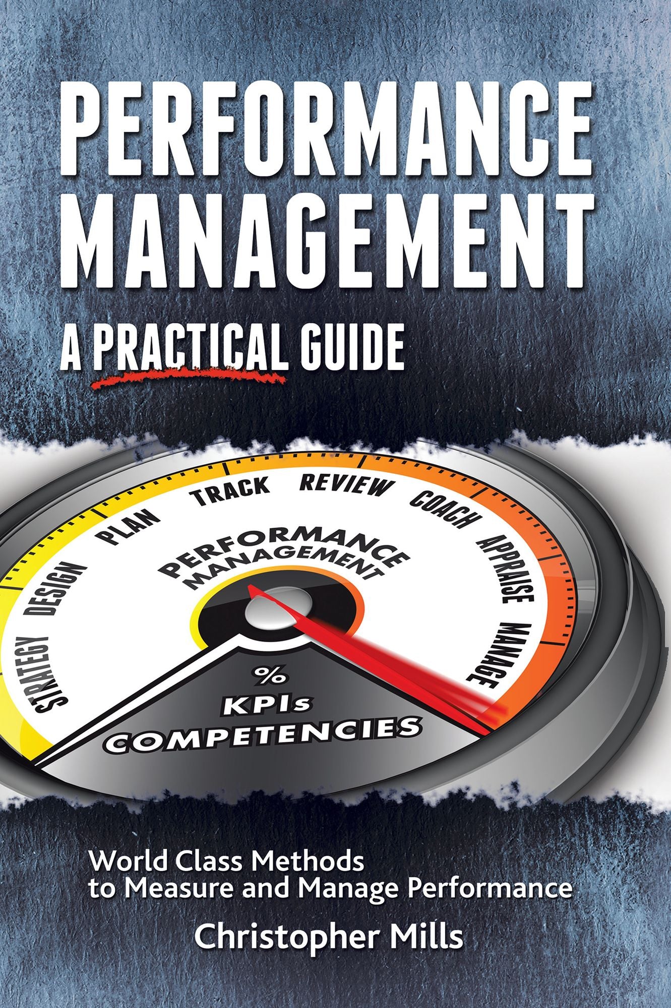 Performance Management: A Practical Guide