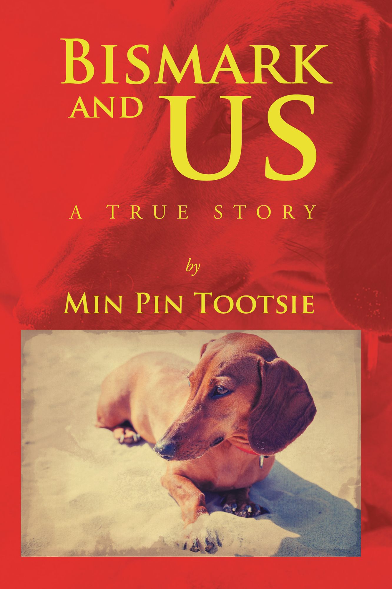 Bismark and Us: A True Story