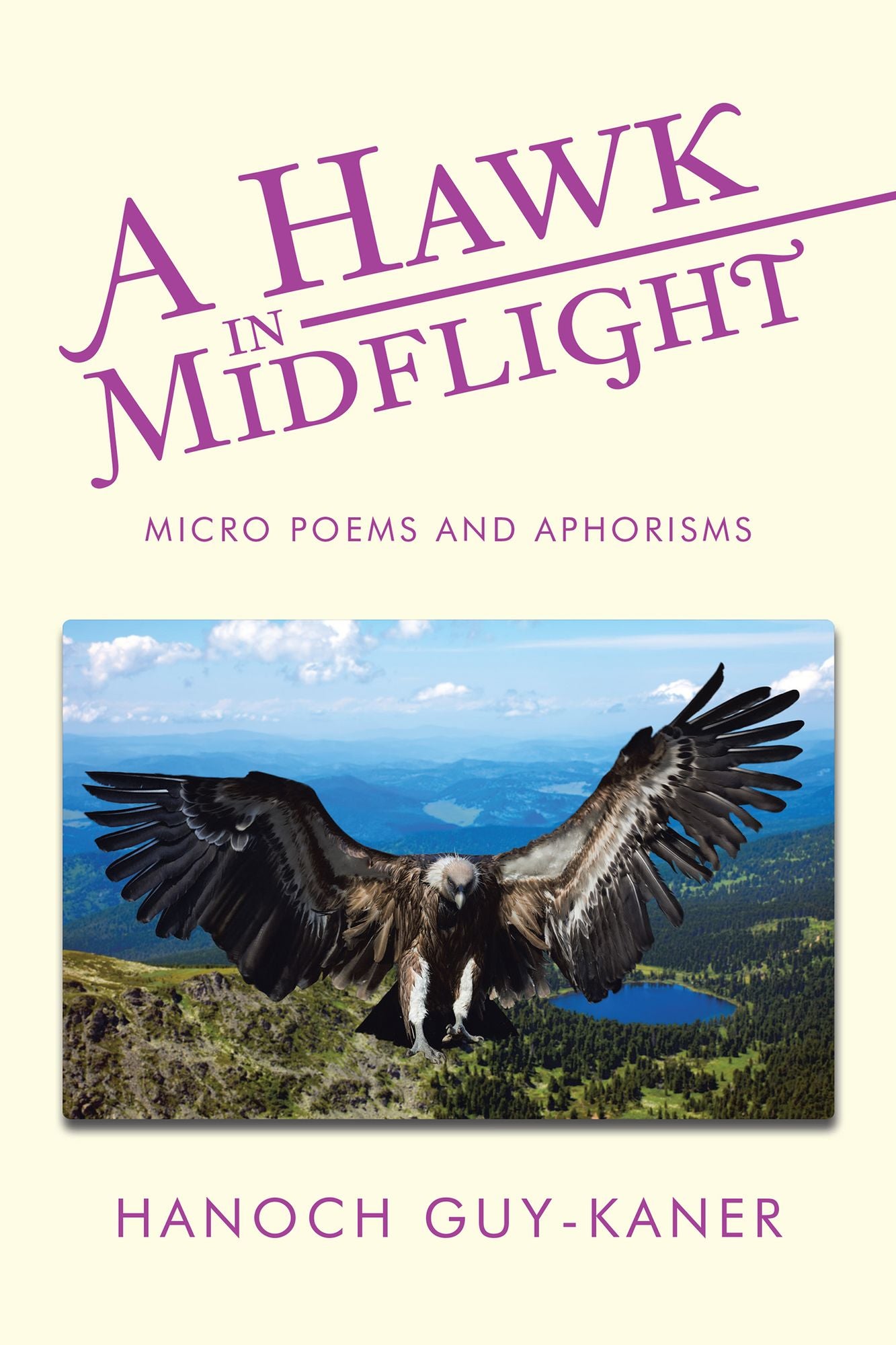 A Hawk in Midflight: Micro Poems and Aphorisms