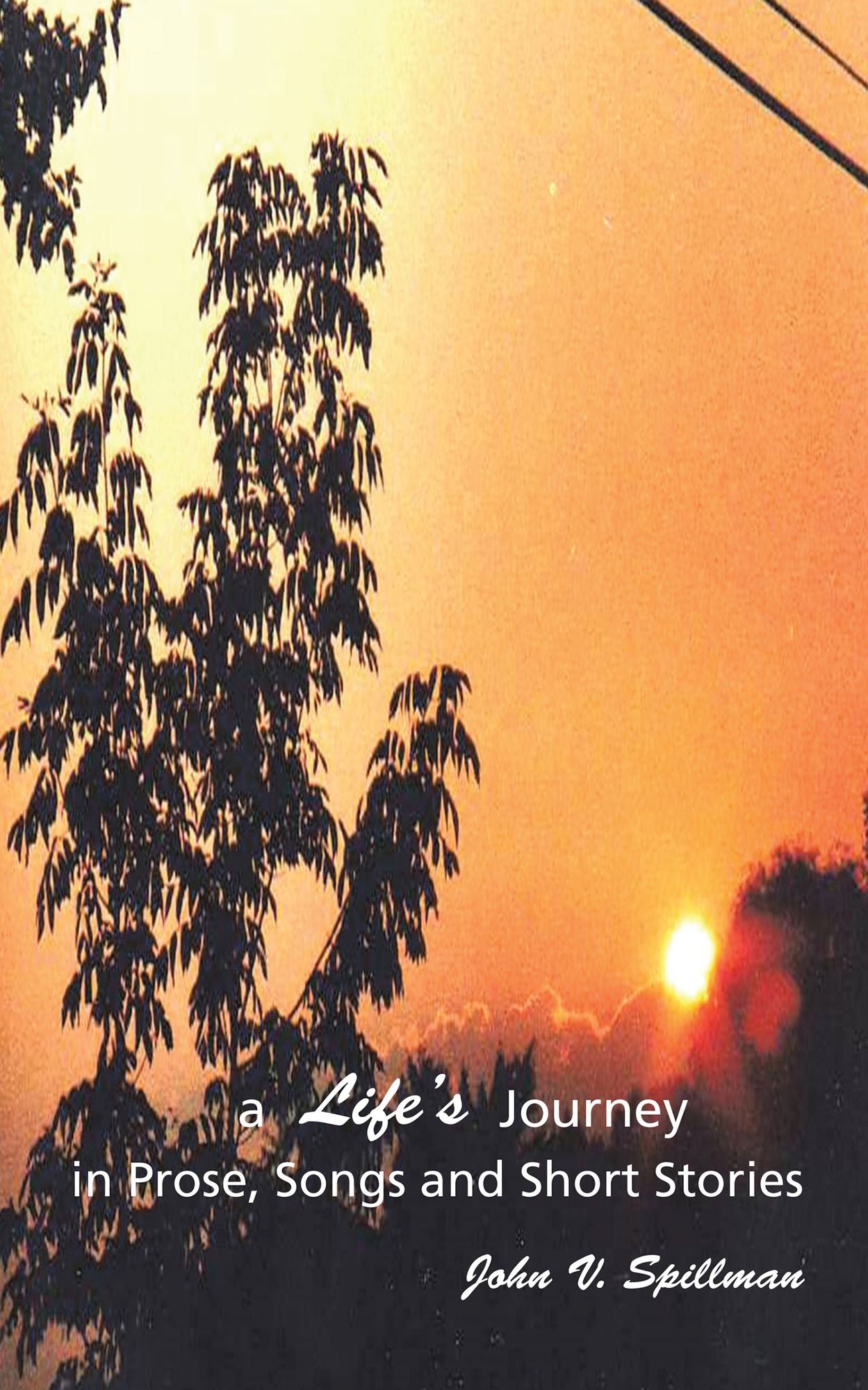 A Life's Journey in Prose, Songs and Short Stories