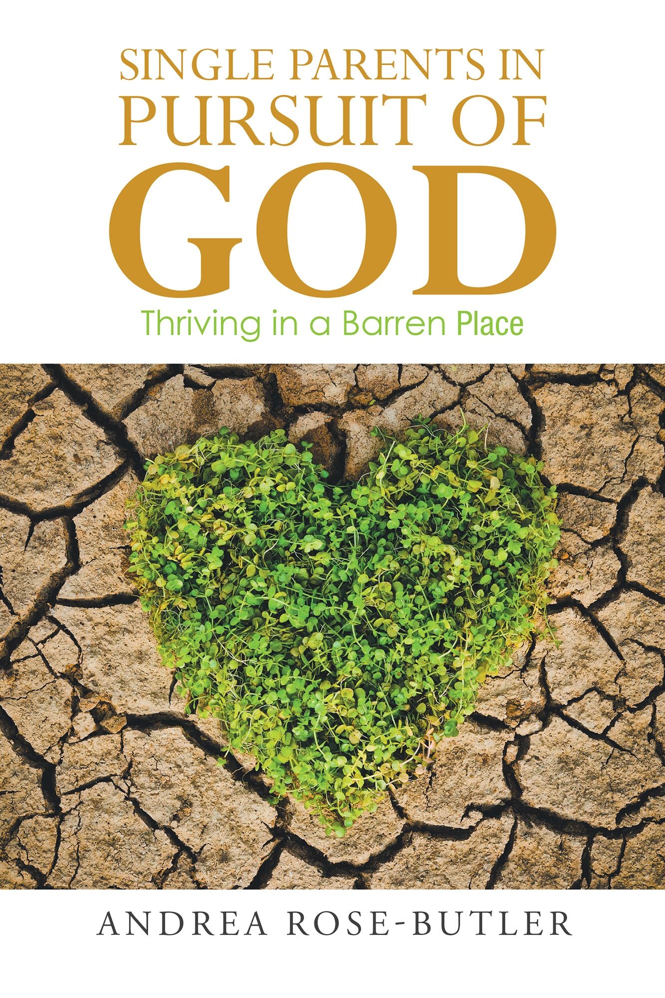 Single Parents in Pursuit of God: Thriving in a Barren Place