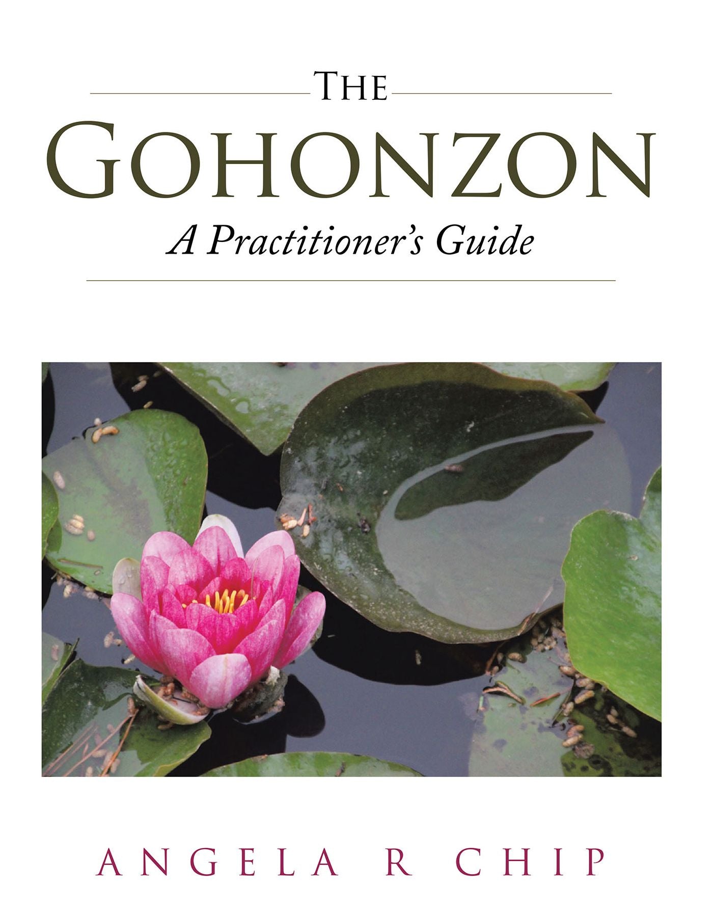 The Gohonzon - A Practitioner's Guide