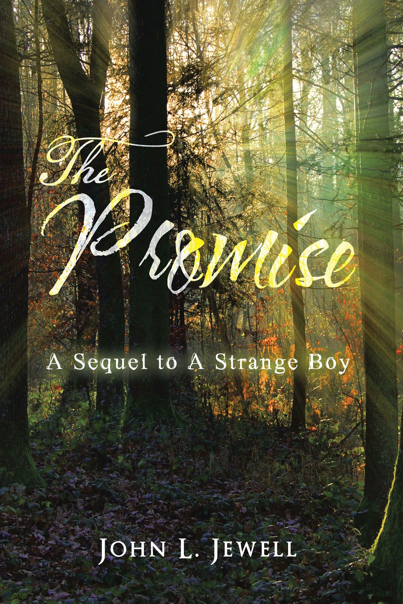 The Promise: A Sequel to a Strange Boy