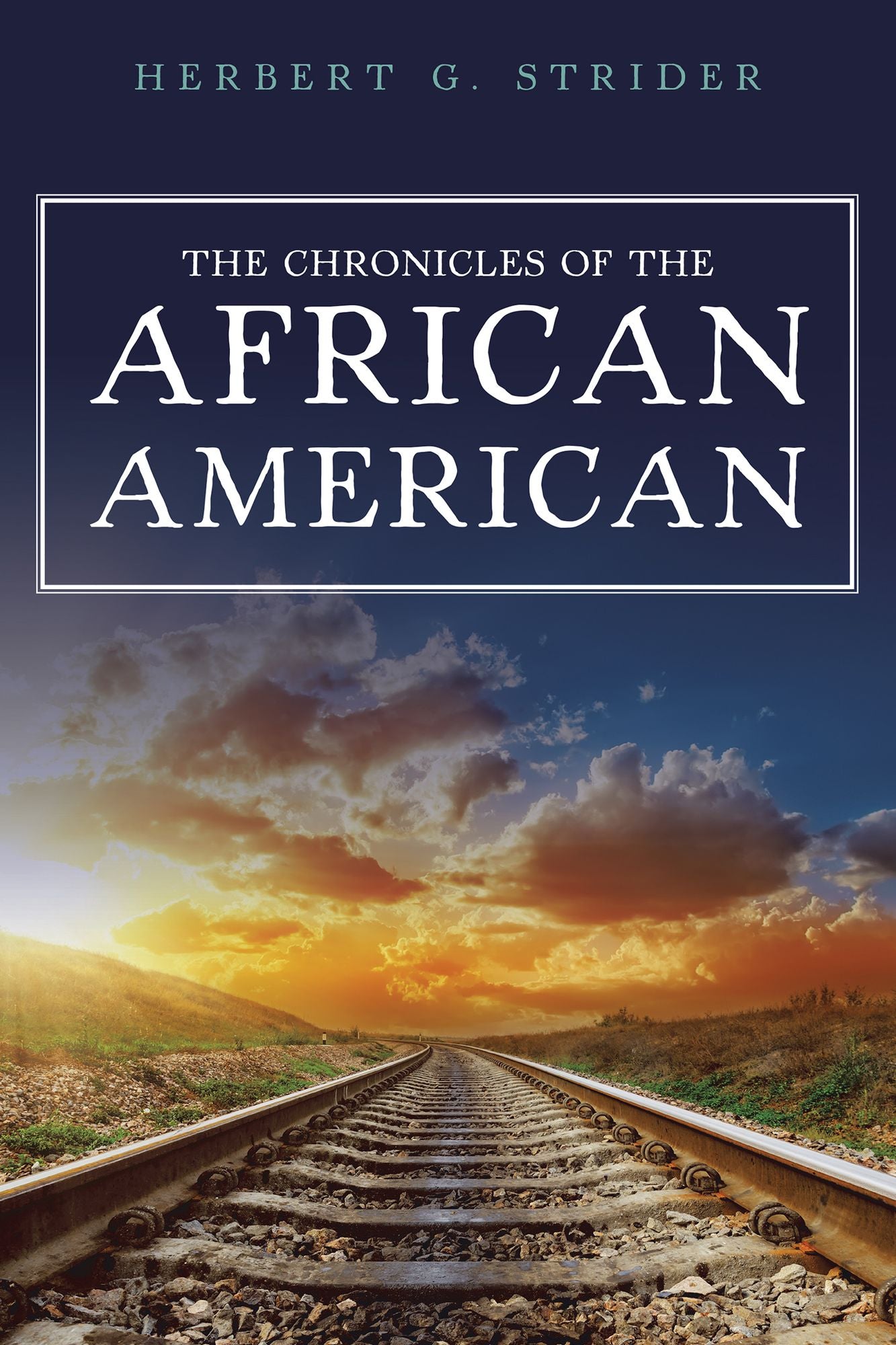 The Chronicles of the African American