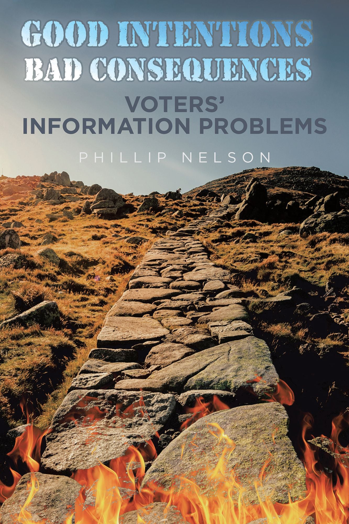 Good Intentions - Bad Consequences: Voters' Information Problems