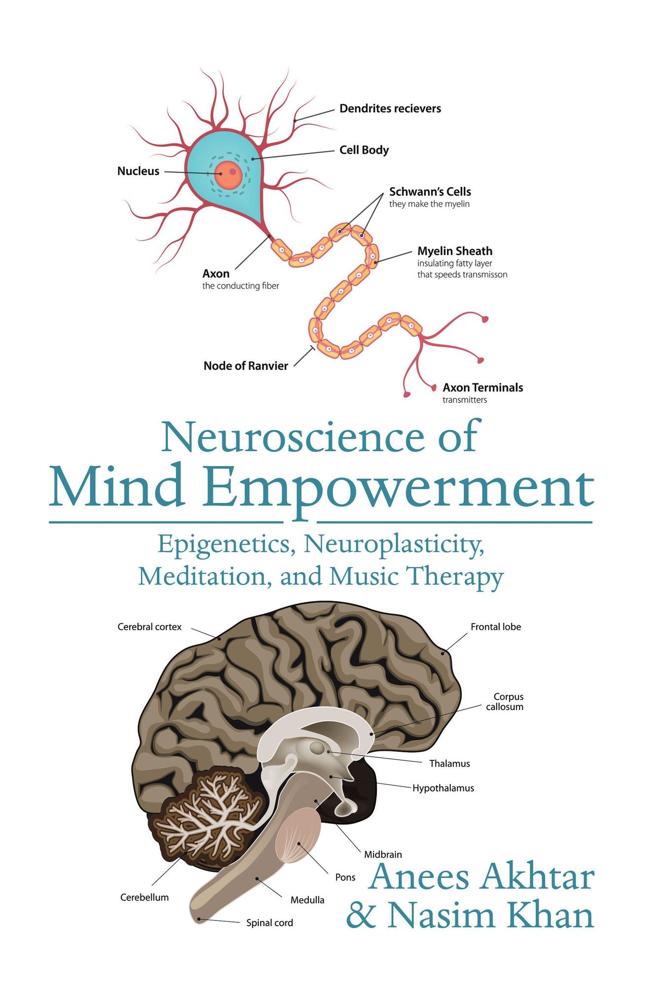 Neuroscience of Mind Empowerment: Epigenetics, Neuroplasticity, Meditation, and Music Therapy